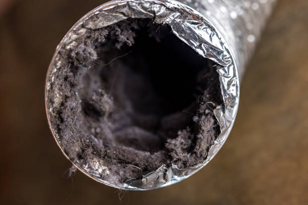 Best Air Duct Cleaning Near Me  in Columbia, CA